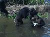 DSC00920.JPG